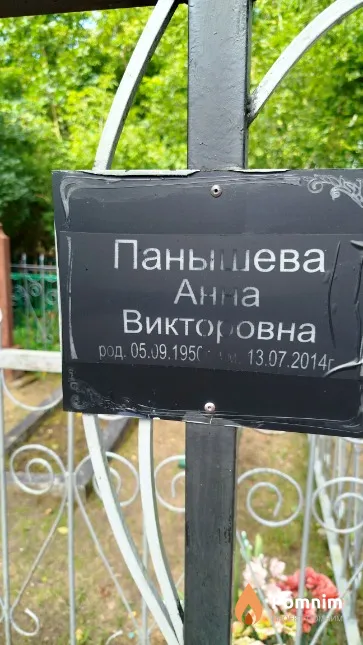 Панышева Анна Викторовна