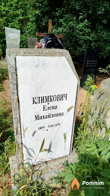 Климкович Елена Михайловна