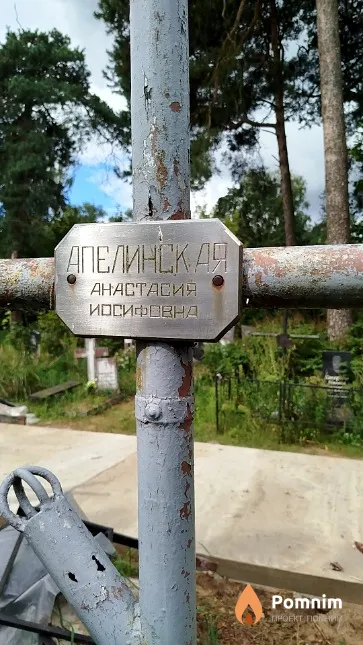 Апелинская Анастасия Иосифовна