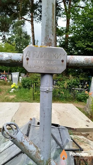 Апелинский Василий Васильевич