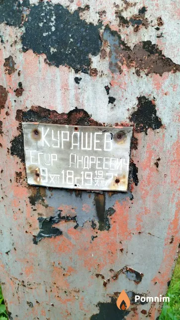 Kypaшев Егор Андреевич