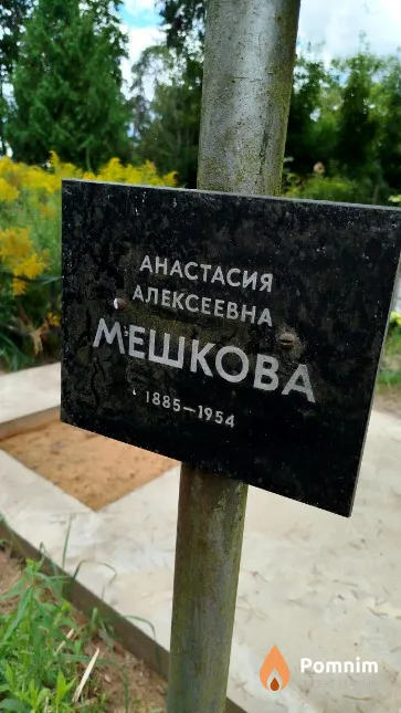 Мешкова Анастасия Алексеевна