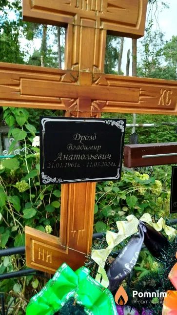Дрозд Владимир Анатольевич