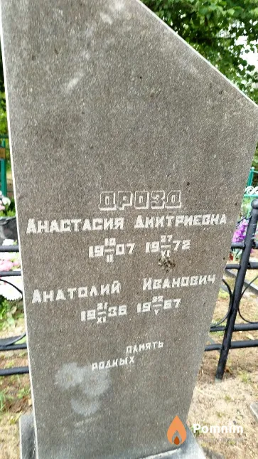 Дрозд Анастасия Дмитриевна