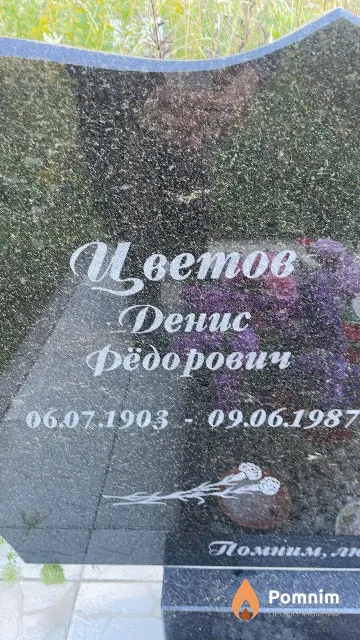 Цветов Денис Фёдорович