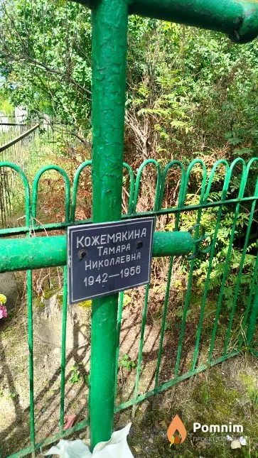 Кожемякина Taмара Николаевна