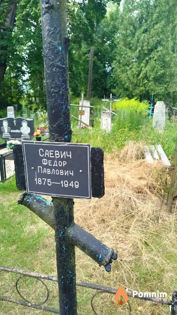 Саевич Фёдор Павлович