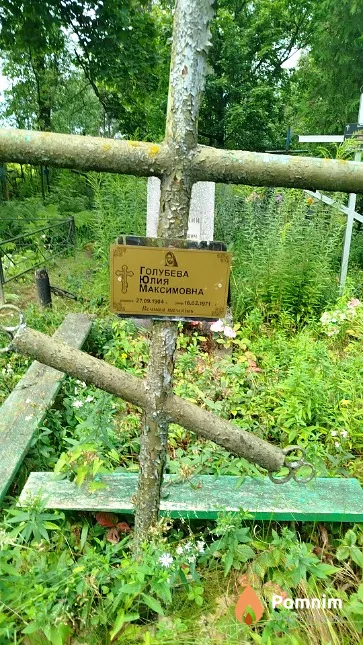 Голубева Юлия Максимовна