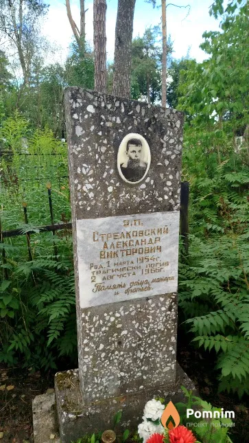 Стрелковский Aлександр Викторович