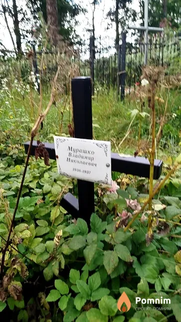 Мурашко Владимир Николаевич