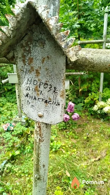 Морозевич Анастасия
