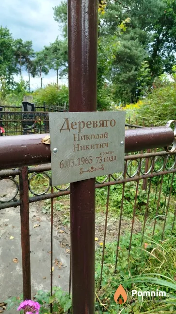 Деревяго Николай Никитич