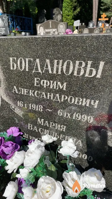 Богданов Ефим Александрович