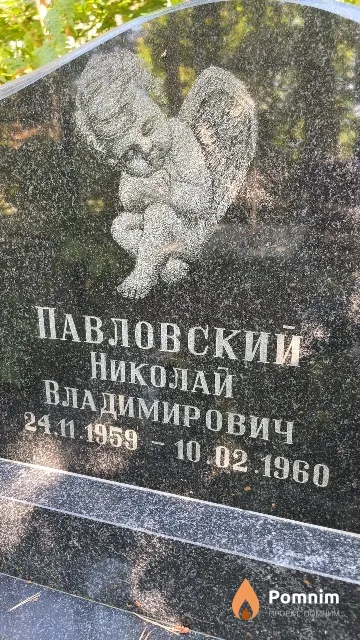 Павловский Николай Владимирович