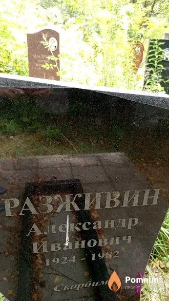 Разживин Александр Иванович
