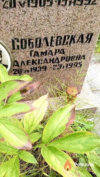 Соболевская Taмapa Александровна