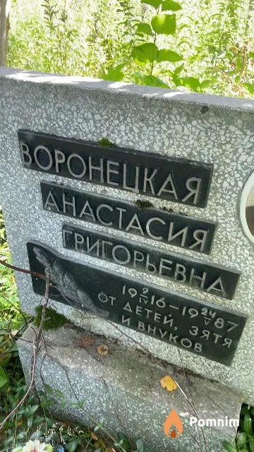 Воронецкая Анастасия Григорьевна