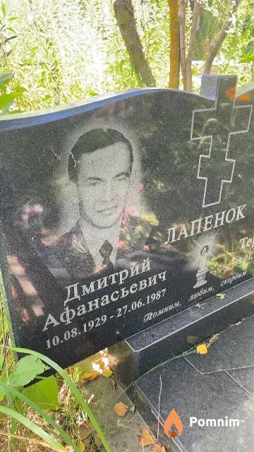 Лапенок Дмитрий Афанасьевич