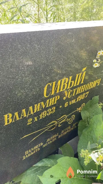 Сивый Владимир Устинович