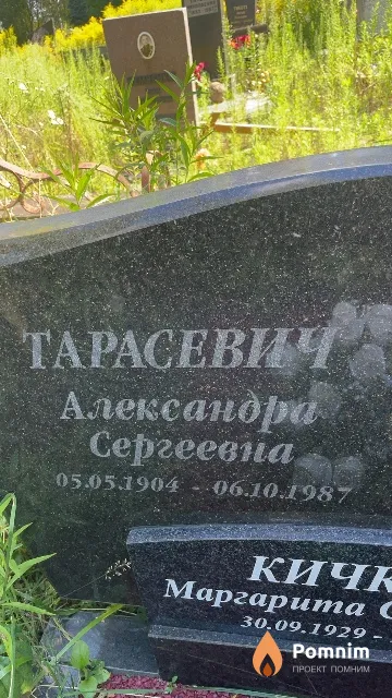Тарасевич Александра Сергеевна