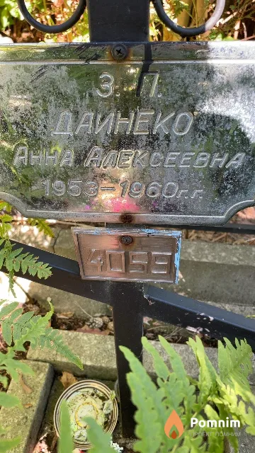 Дайнеко Aнна Алексеевна