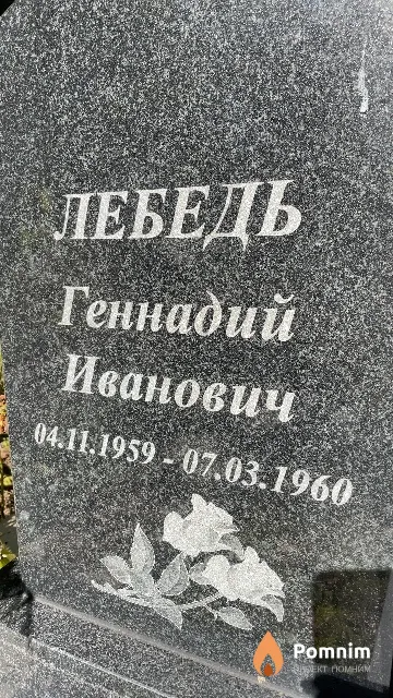 Лебедь Геннадий Иванович