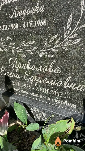 Привалова Елена Ефремовна