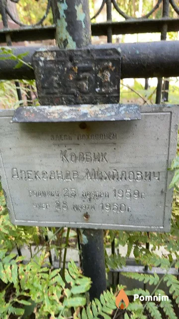 Колбик Александр Михалович