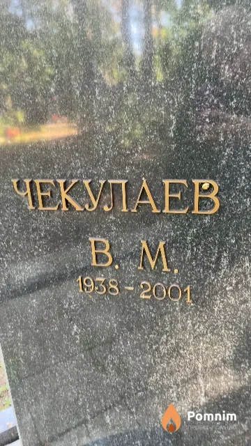 Чекулаев В. М.