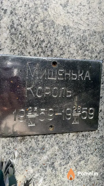 Король Мишенька