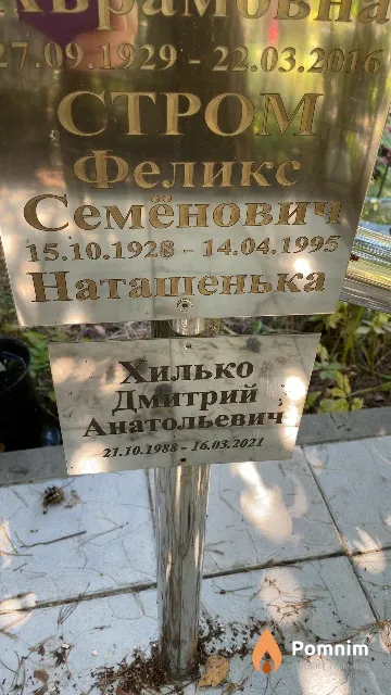 Стром Феликс Семёнович