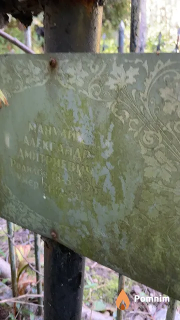 Манулик Александр Дмитриевич