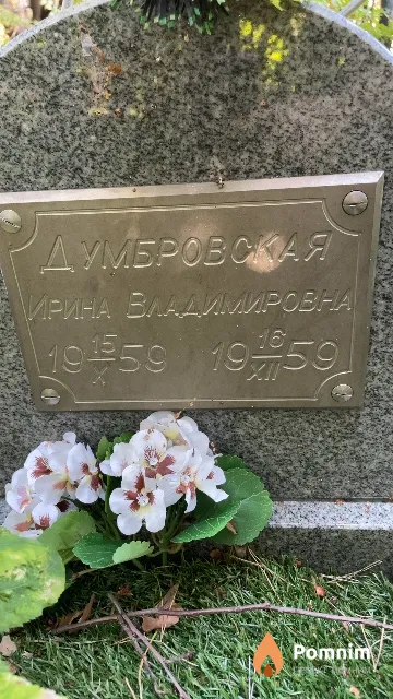 Думбровская Ирина Владимировна