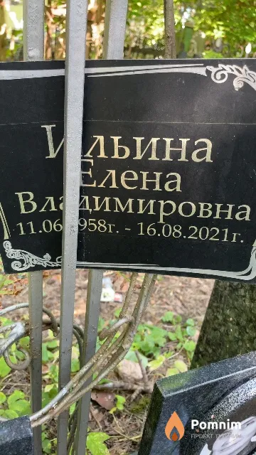 Ильина Елена Владимировна