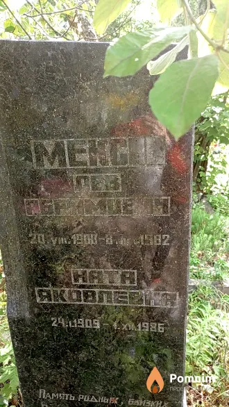 Мексин Ната Яковлевна