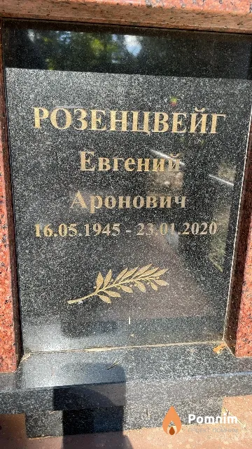 Розенцвейг Евгений Аронович