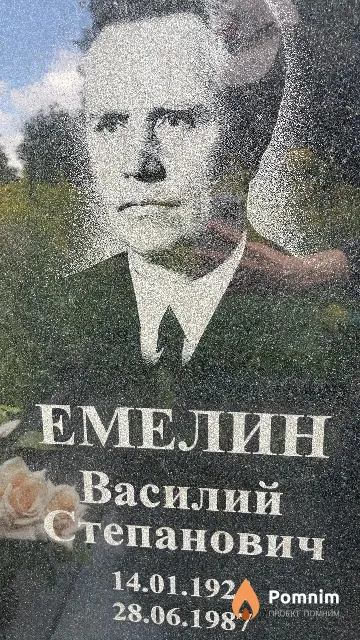 Емелин Василий Степанович
