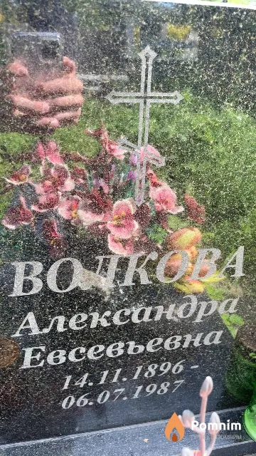 Волкова Александра Евсевьевна