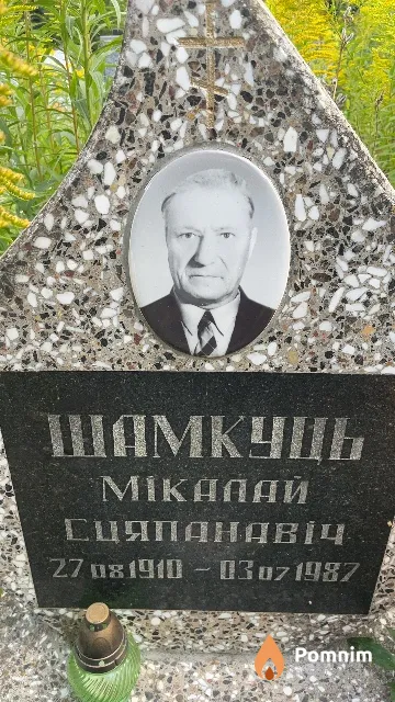 Шамкуть Николай Степанович
