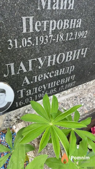Лагунович Александр Тадеушевич