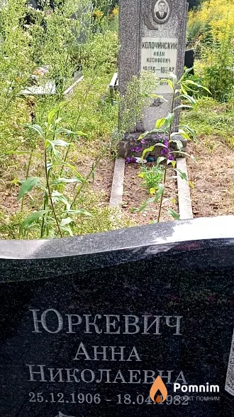 Юркевич Анна Николаевна
