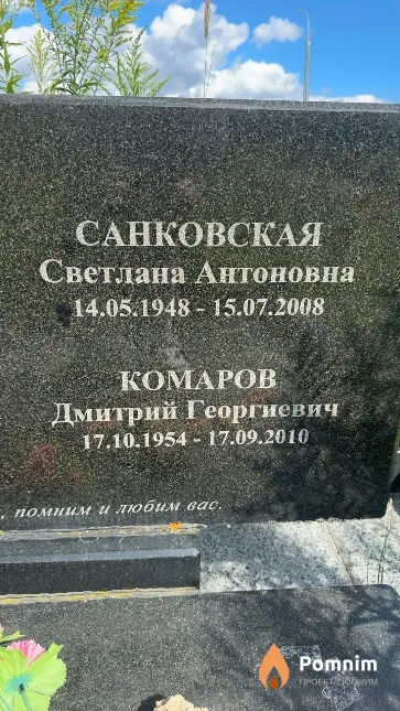 Комаров Дмитрий Георгиевич