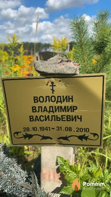 Володин Владимир Васильевич