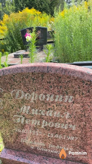 Доронин Михаил Петрович