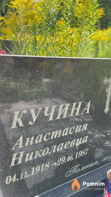 Кучина Анастасия Николаевна
