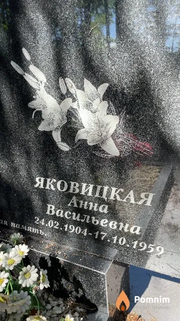 Яковицкая Анна Васильевна