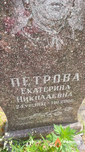 Петрова Екатерина Николаевна
