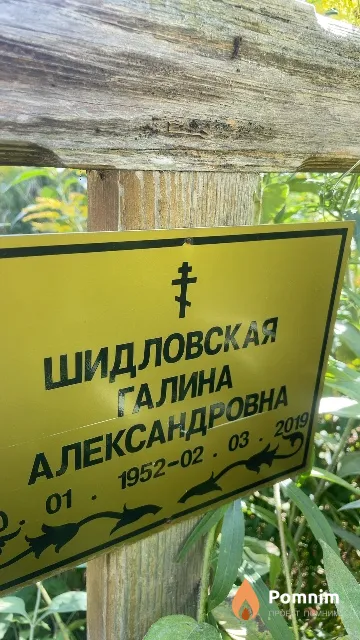Шидловская Галина Александровна