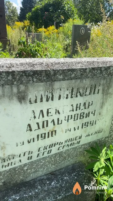 Шитиков Александр Адольфович