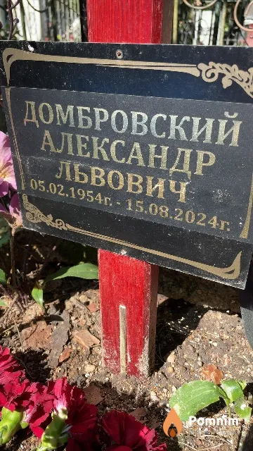 Домбровский Александр Львович